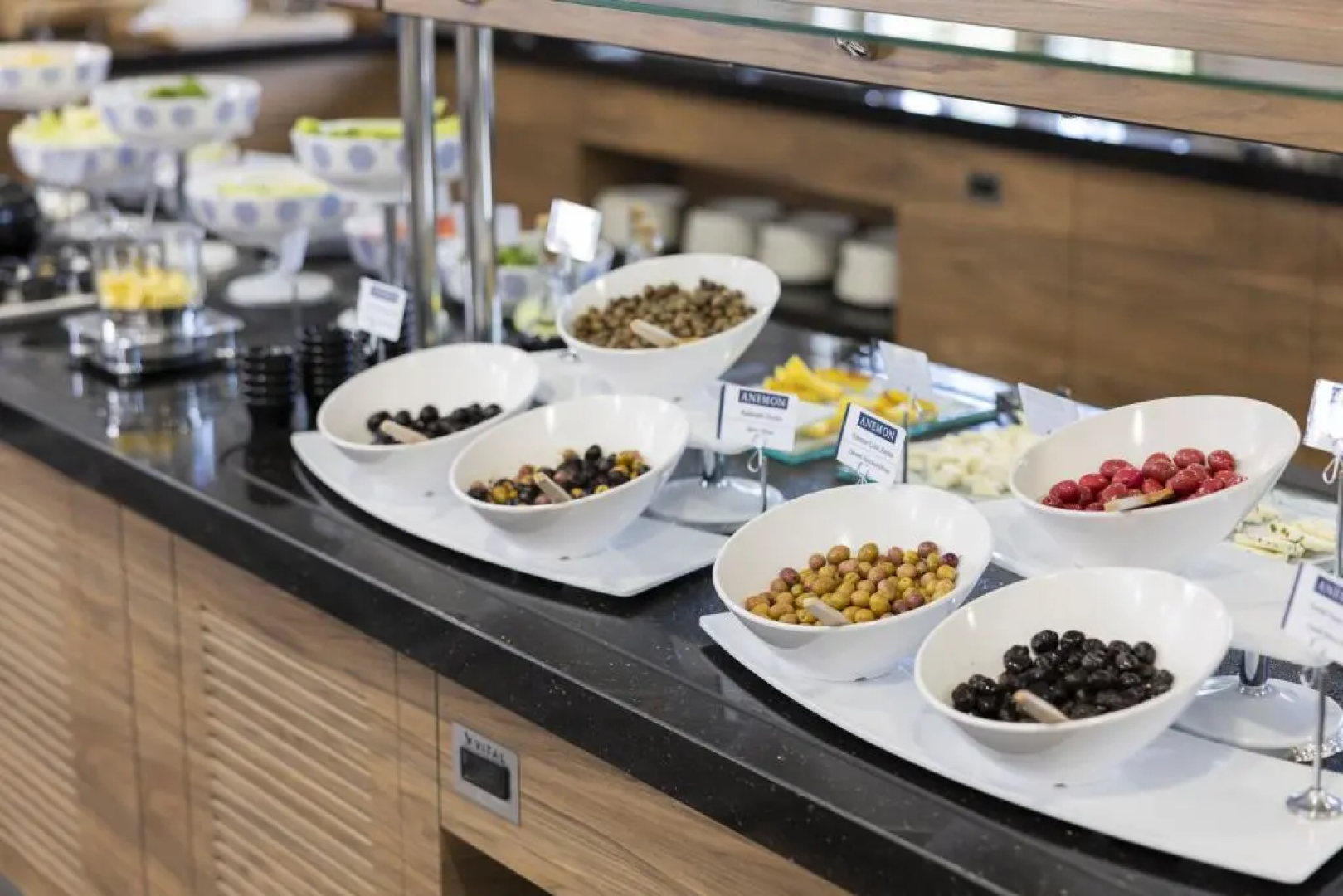 Anemon Kent Karabük Otel