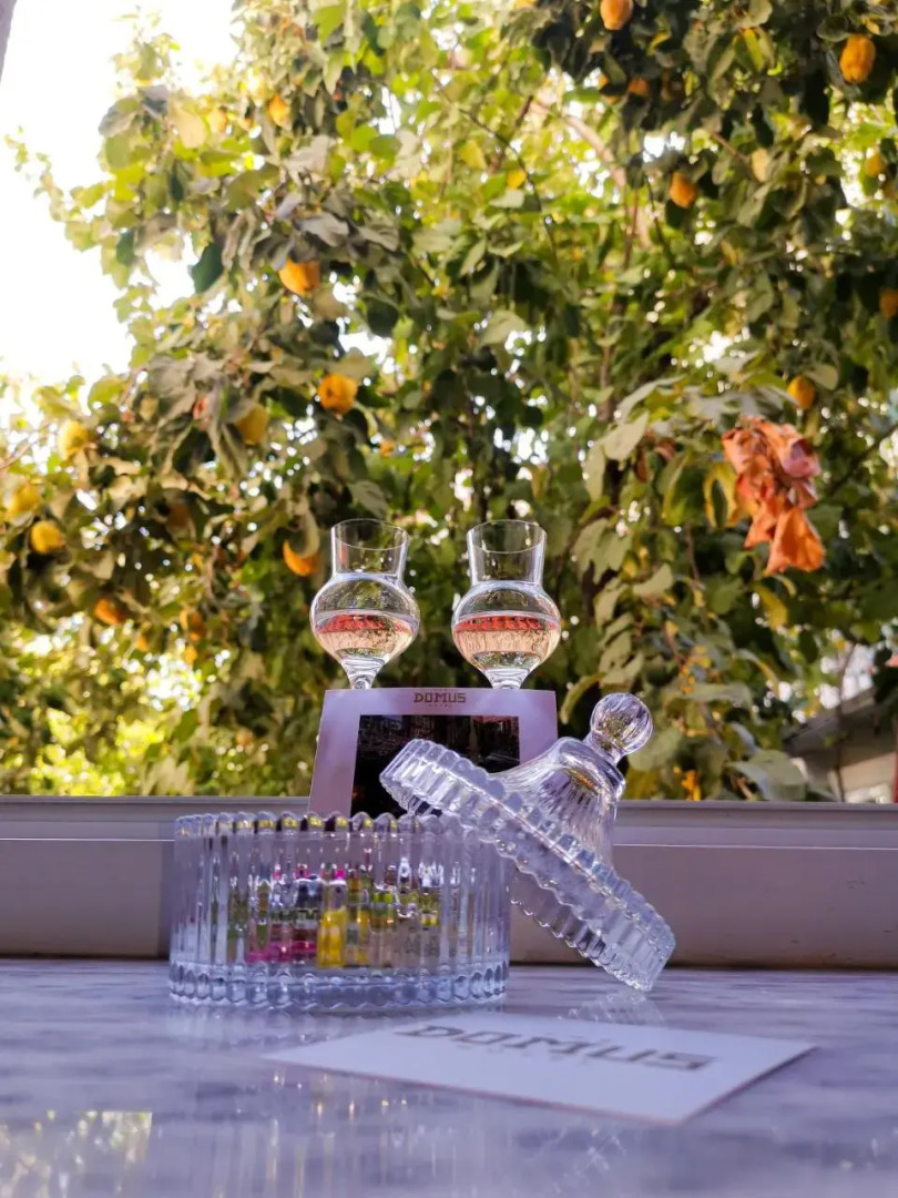 The Twins' House - Binjaket