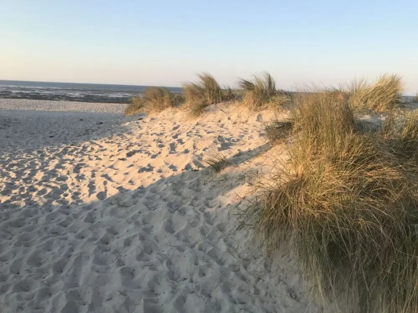 Graft View by the sea