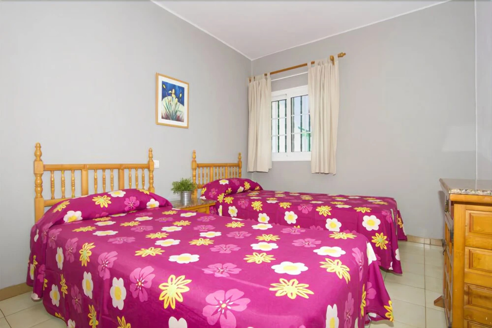 Apartamentos Teneguía