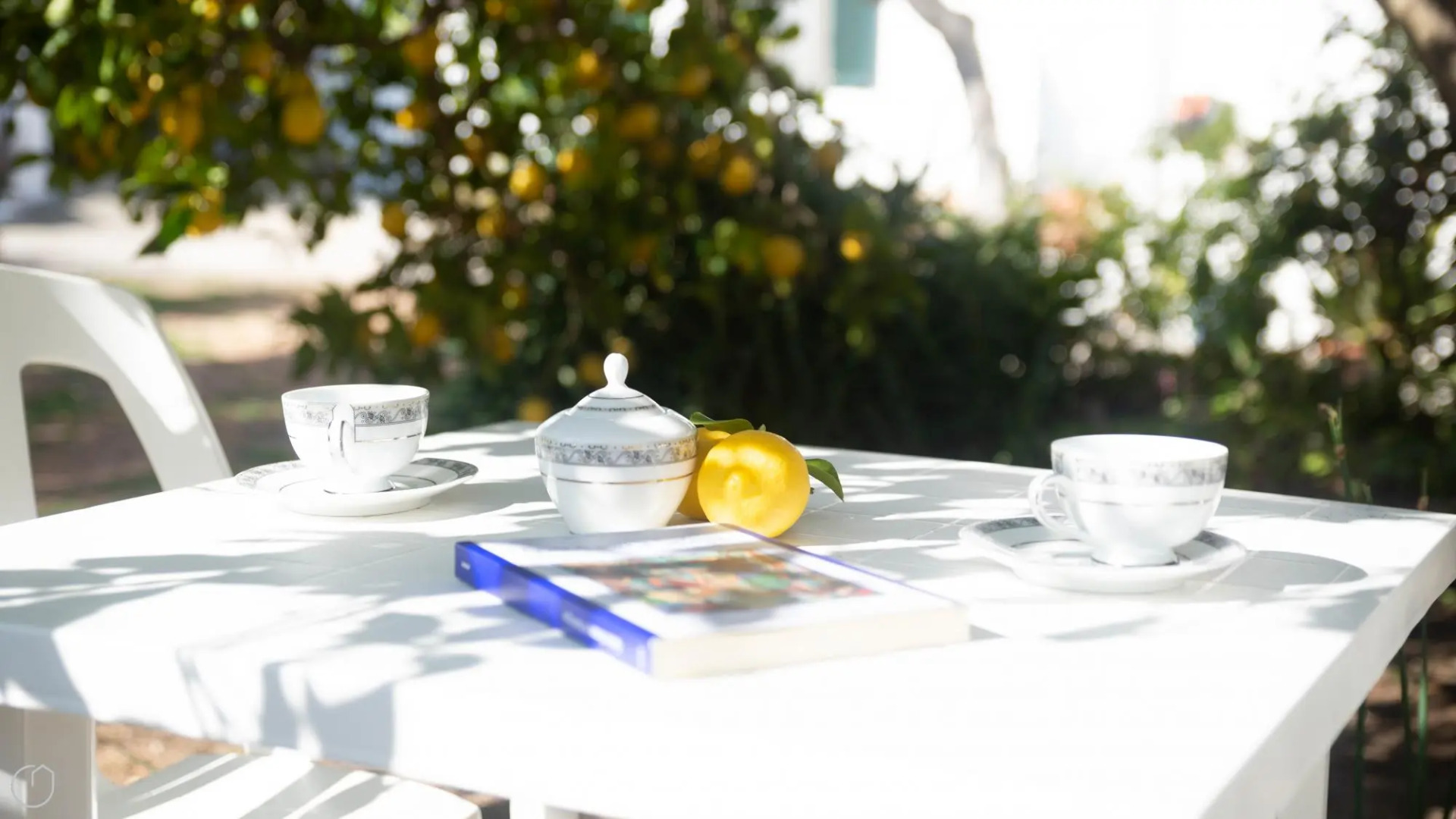 Appartamento Melograno