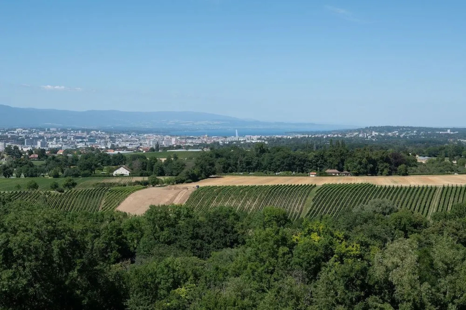 Capucine Archamps-Genève