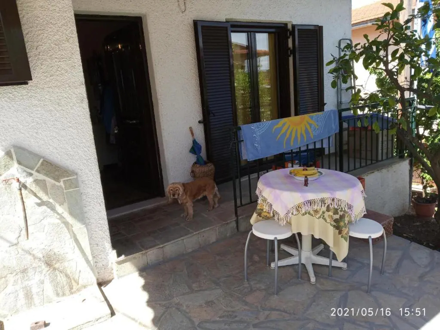 Sea view Dilesi