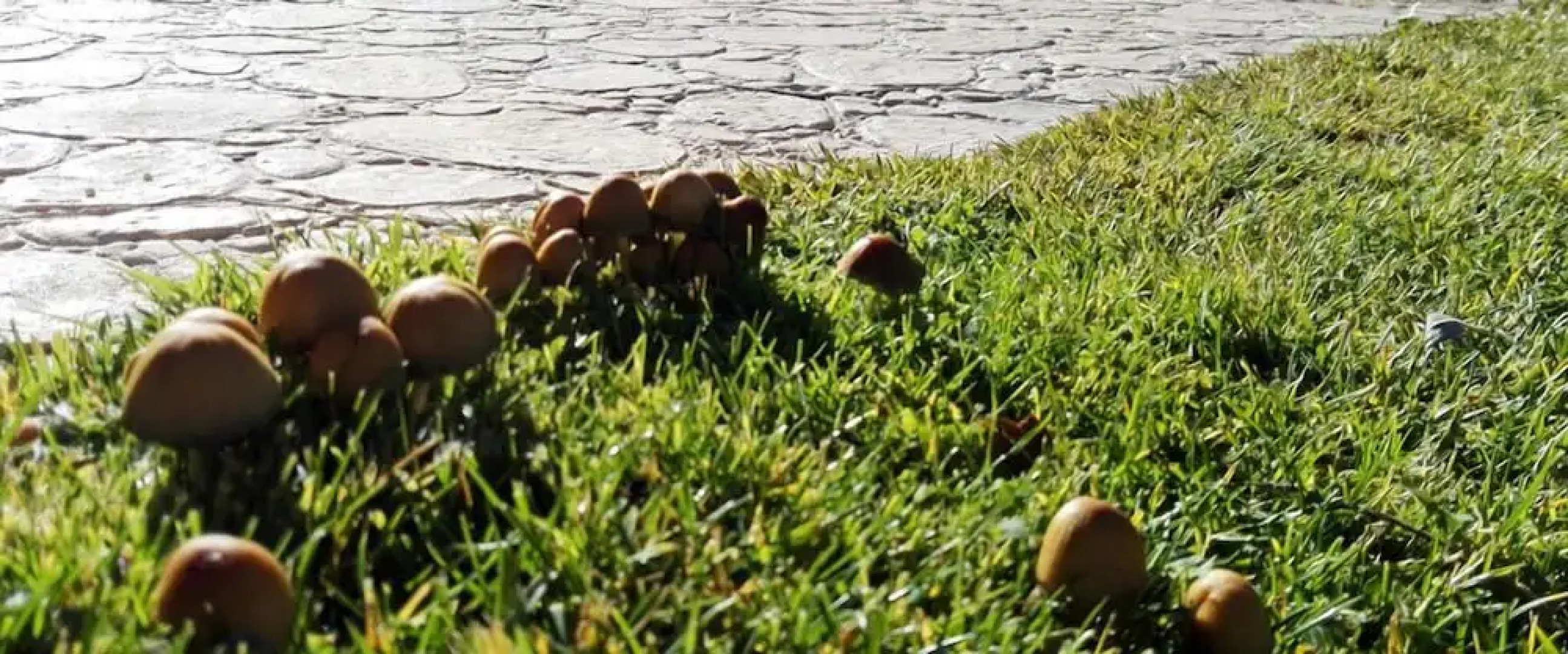 Hotel Rural y SPA La Senda de los Caracoles