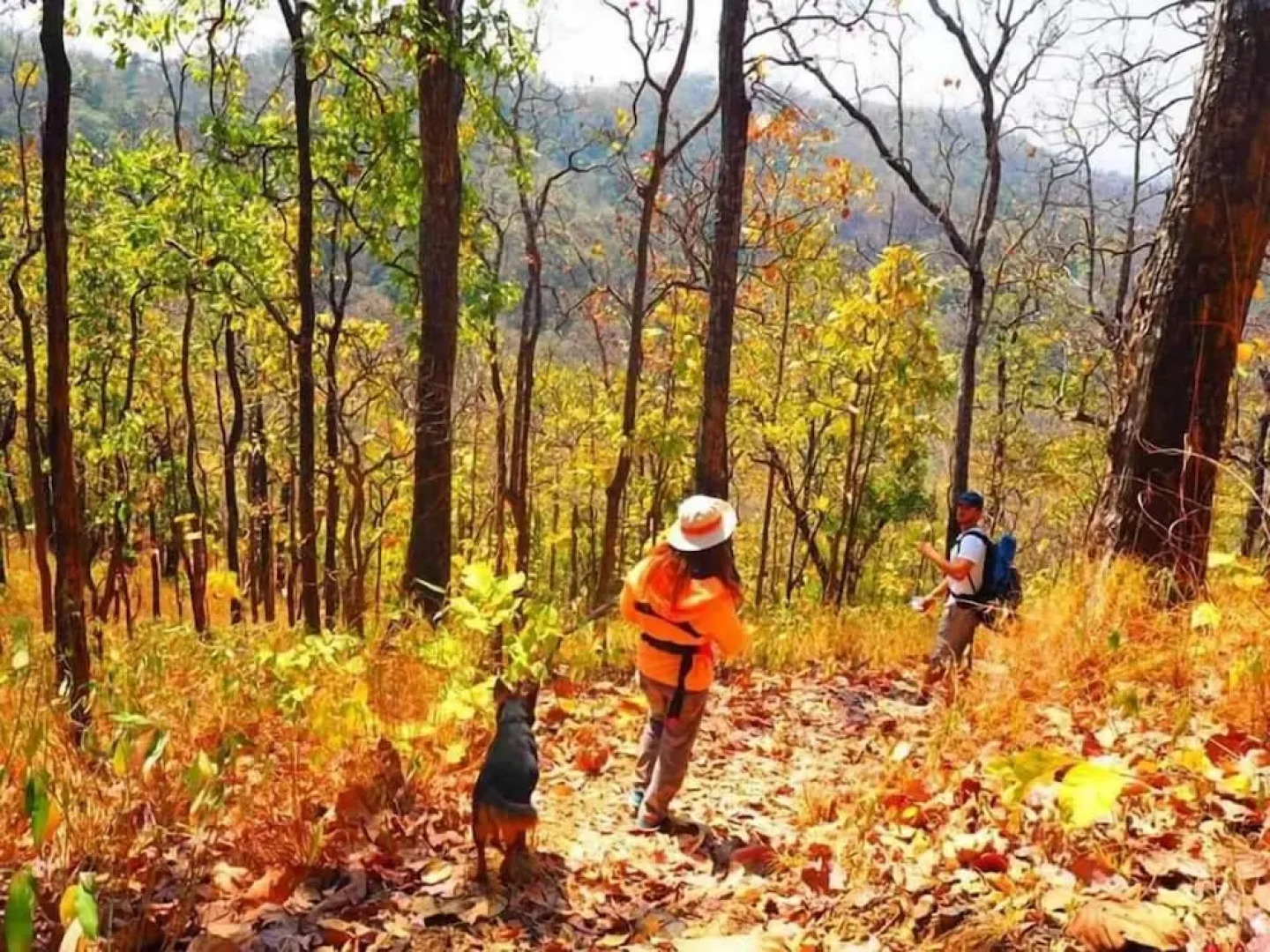 Crossroads House - Hostel