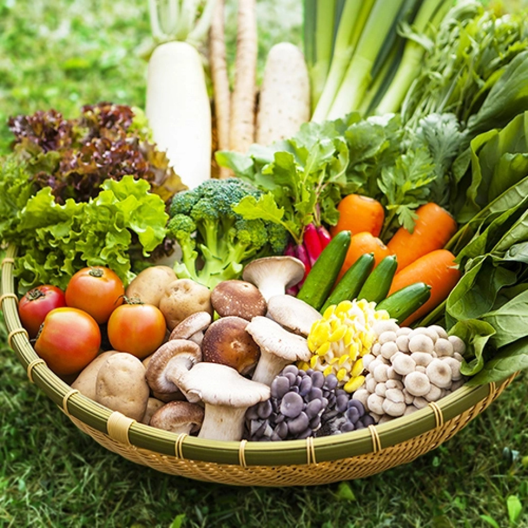 Oshuku Onsen Kagasuke