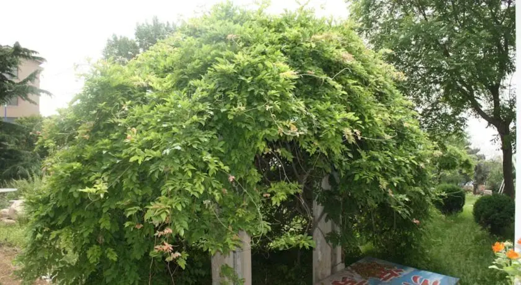 Beidaihe East Beach Seaview Hotel