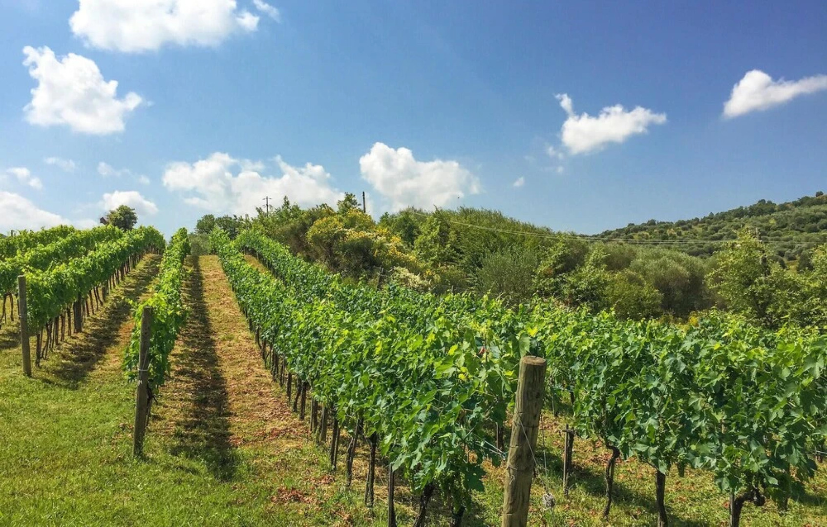 Nice Home in Montegiovi With Wifi and 1 Bedrooms