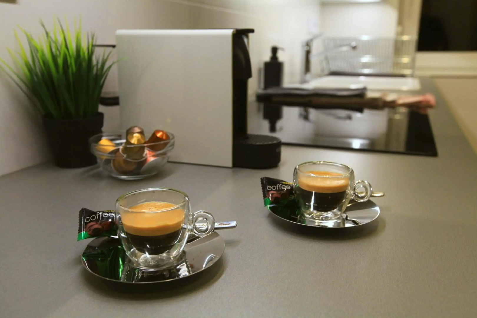 Paskal-Lux Apartments