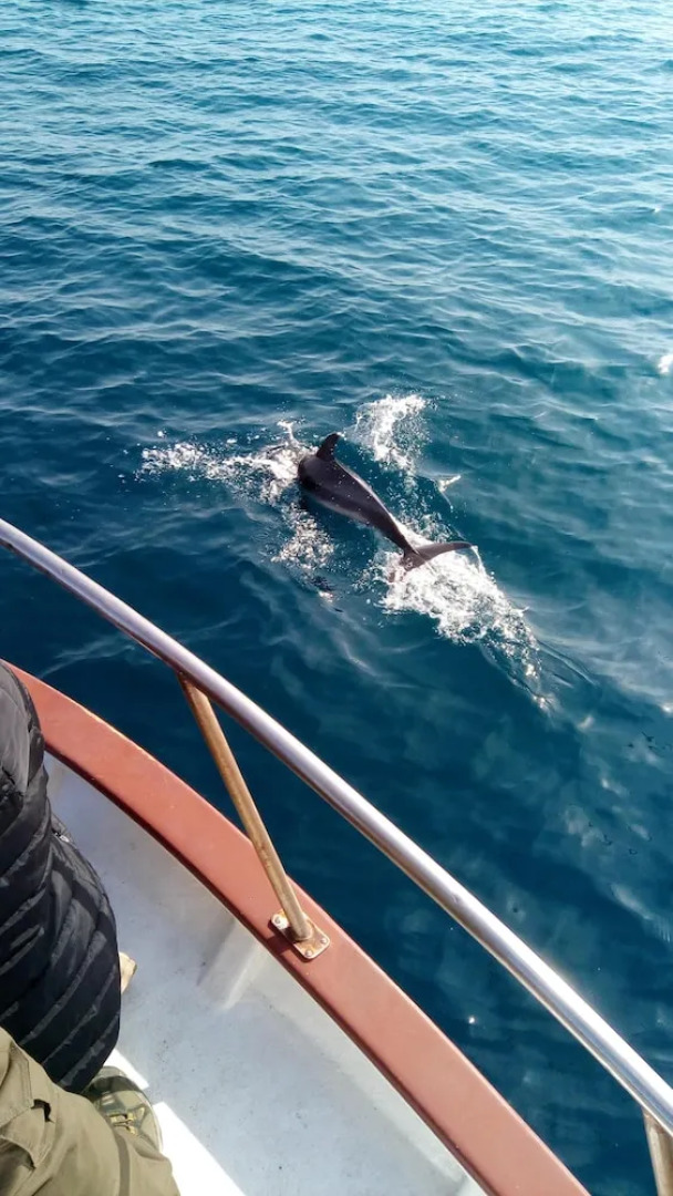 Apartment With 2 Bedrooms in Santa Flavia, With Wifi - 150 m From the