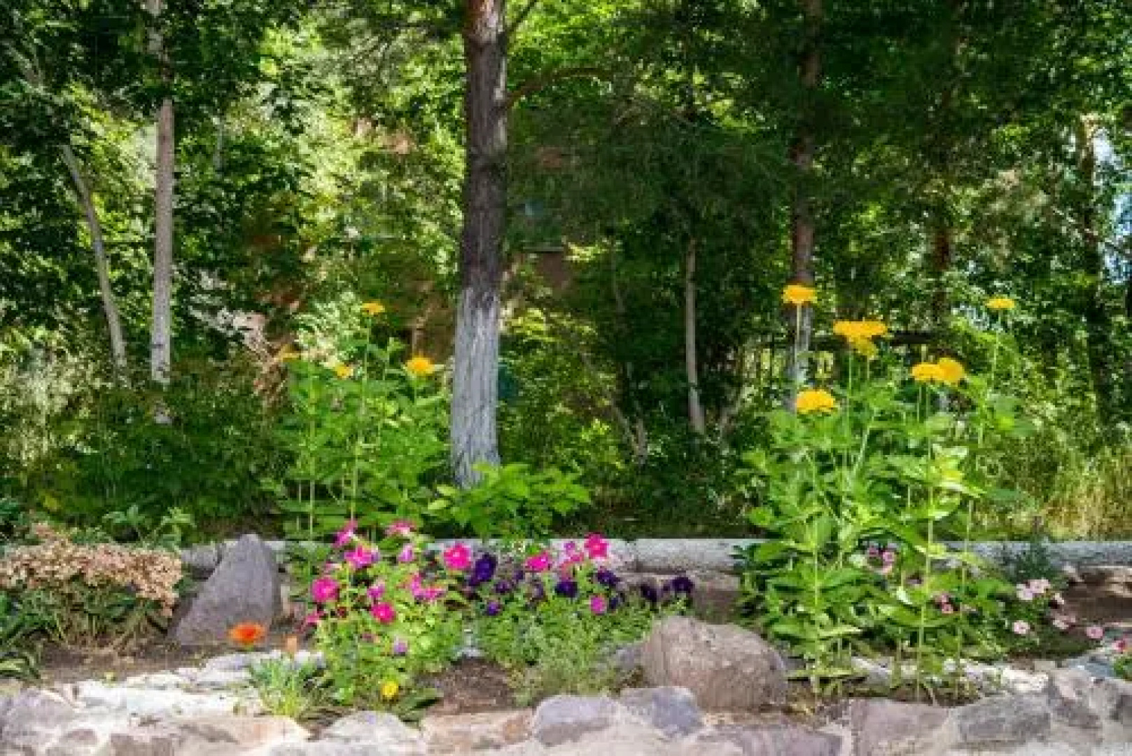 Sanatoriy Bereznyaki