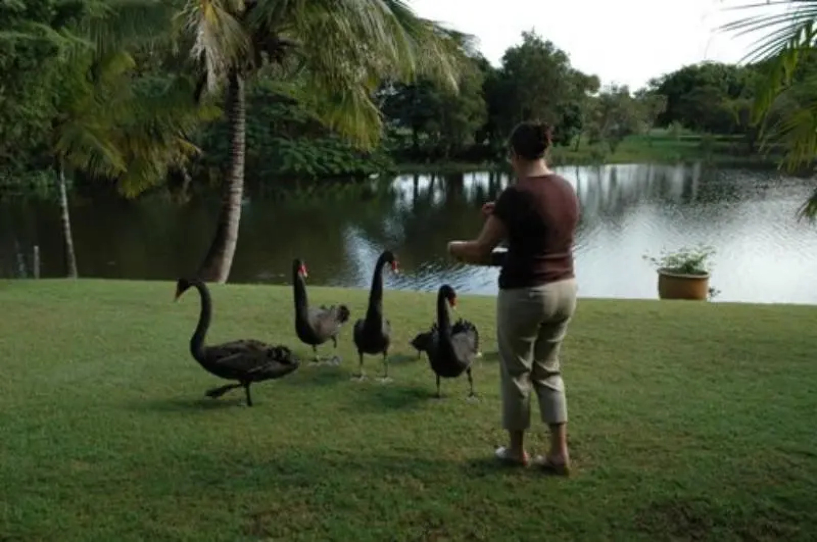 Alexander Lakeside Bed & Breakfast