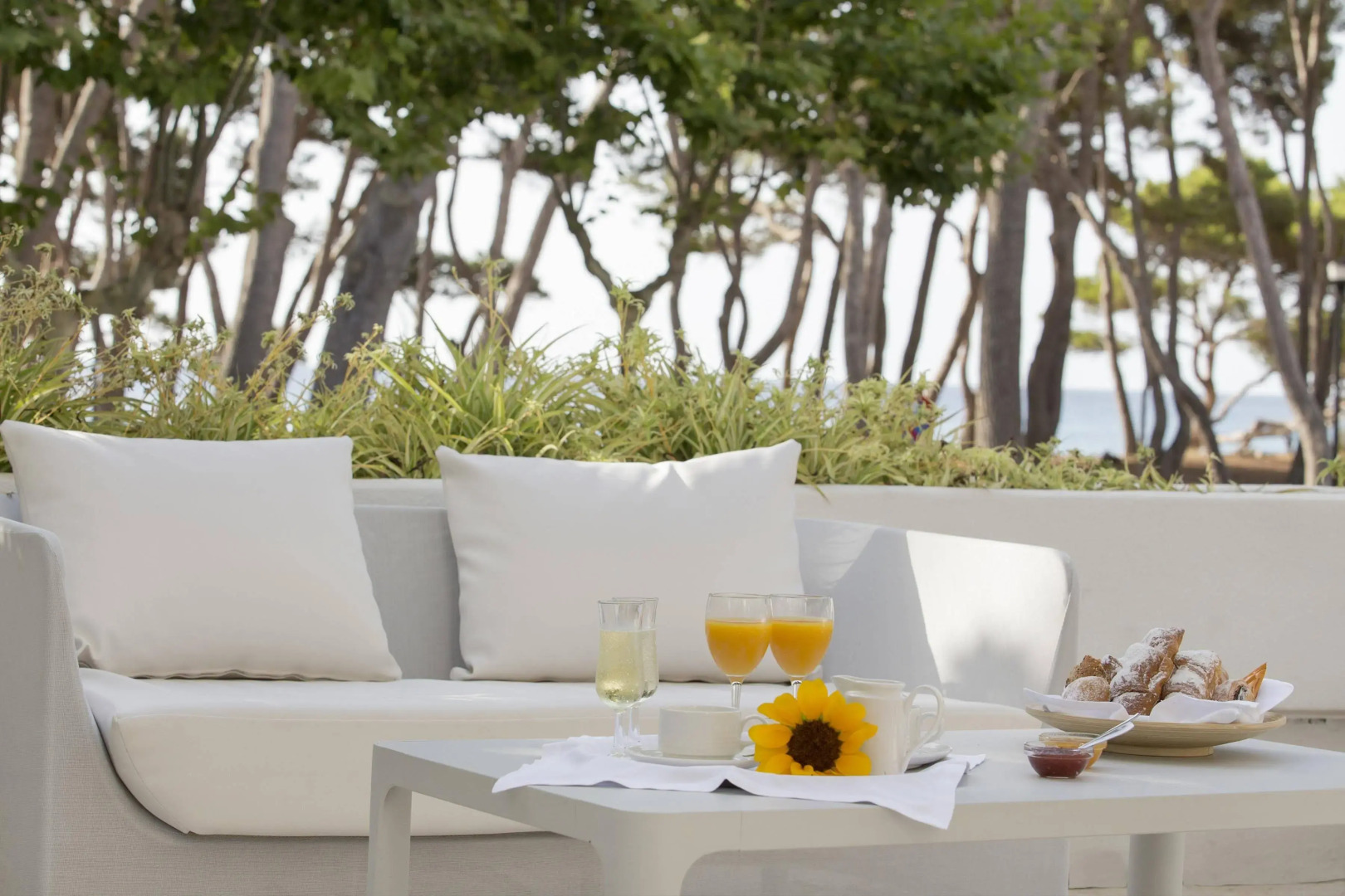 Canyamel Park Hotel & Spa - Adults Only