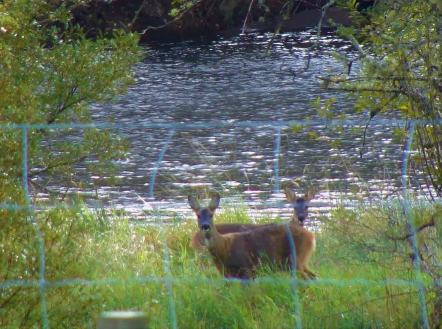 Serendipity Bed And Breakfast