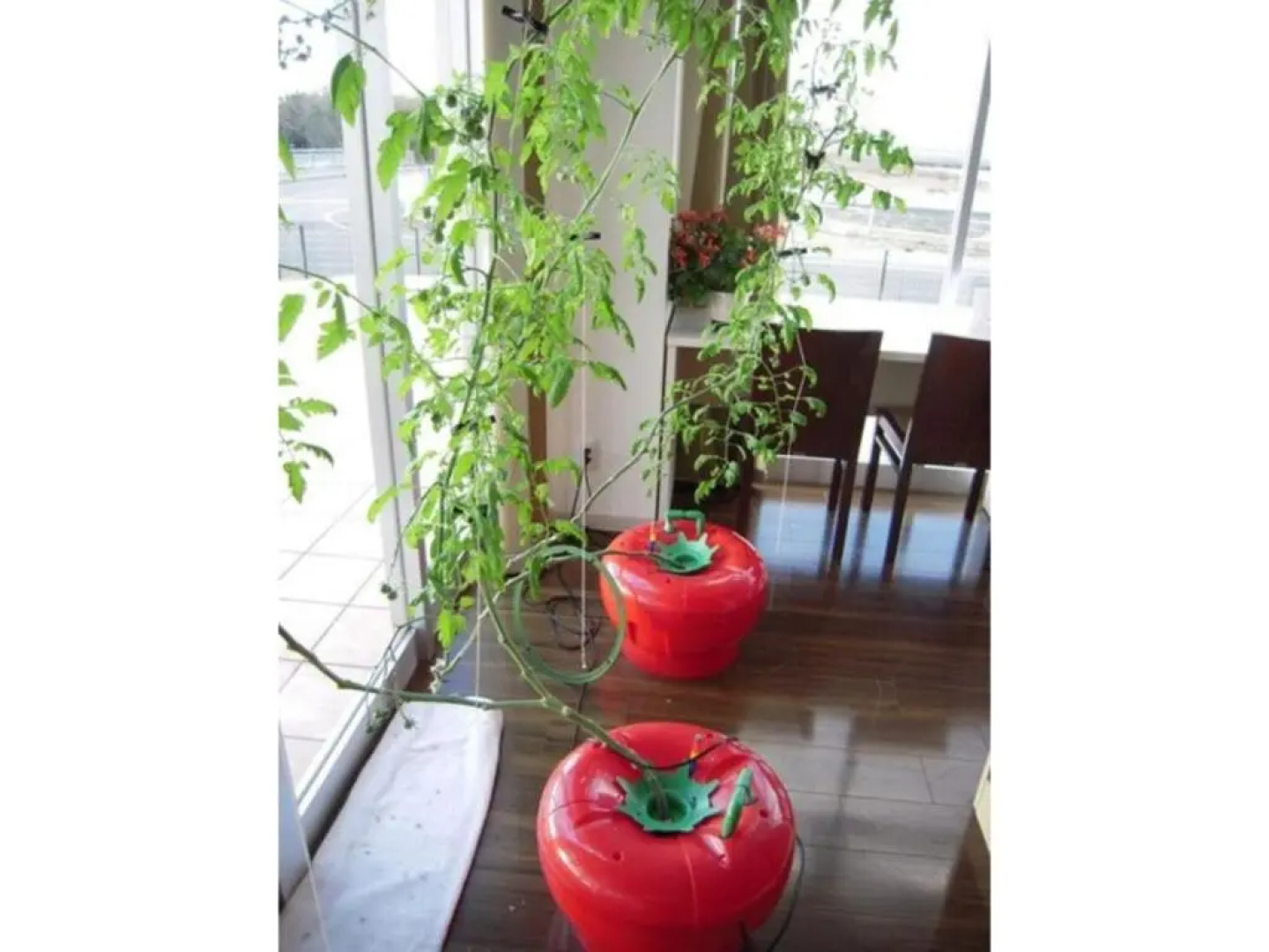 Wind City Hotel - Vacation STAY 81478