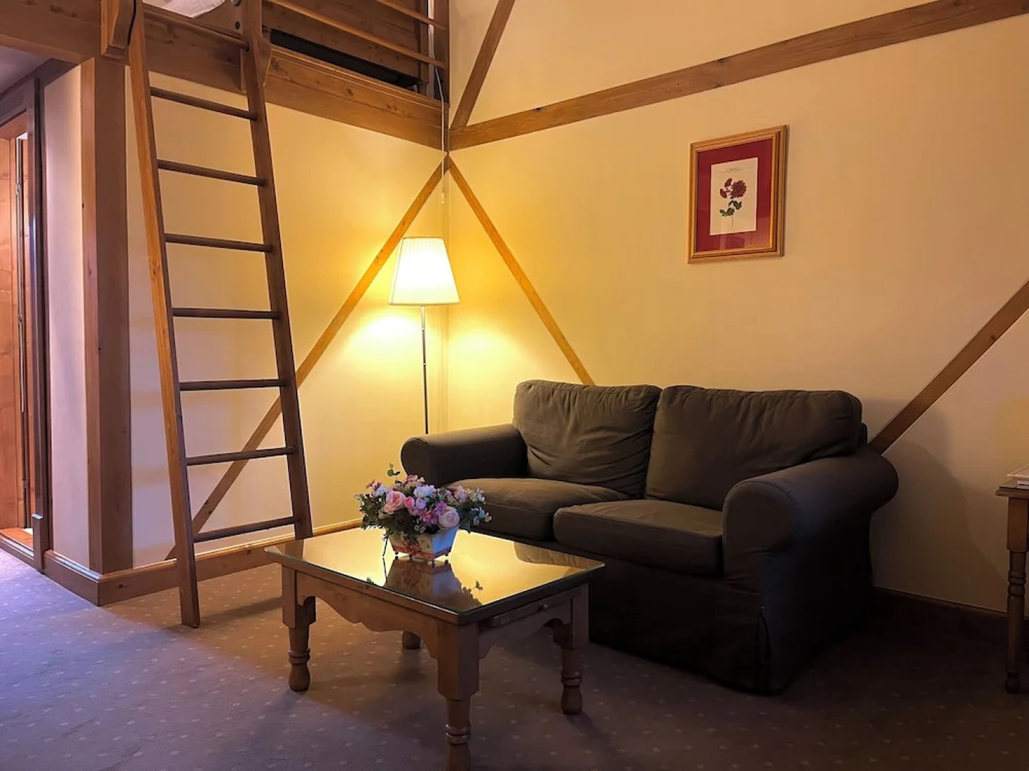 Pensiune restaurant Tohanu Vechi