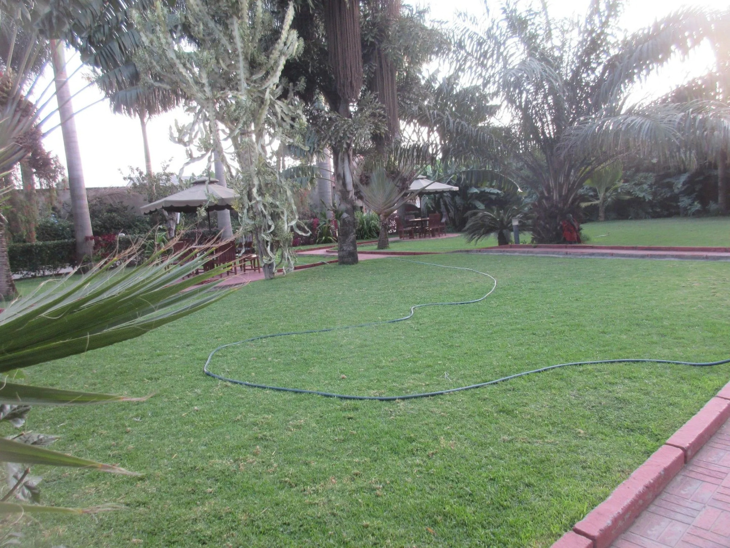 The Charity Hotel International