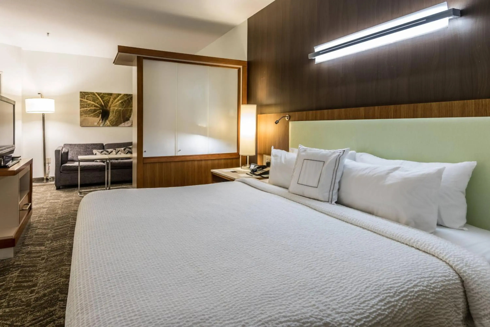 Springhill Suites Statesboro University Area