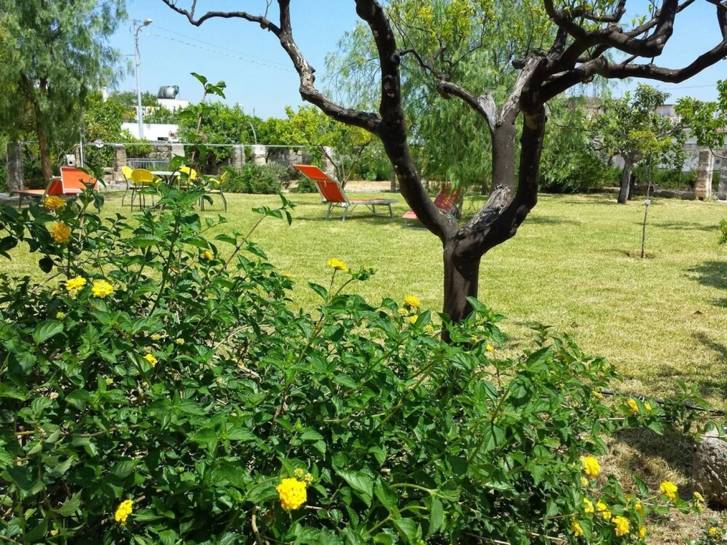 Villa With 4 Bedrooms in Specchia, With Enclosed Garden - 10 km From t