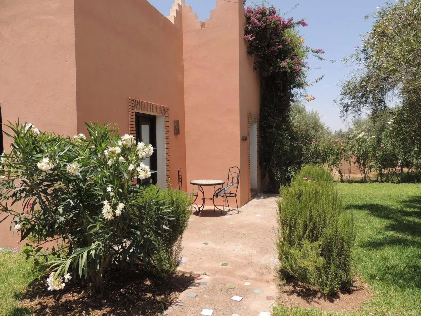 Les Oliviers de L Atlas