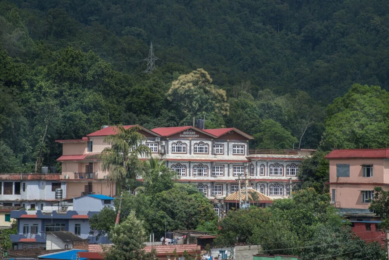 Avocado and Orchid Resort