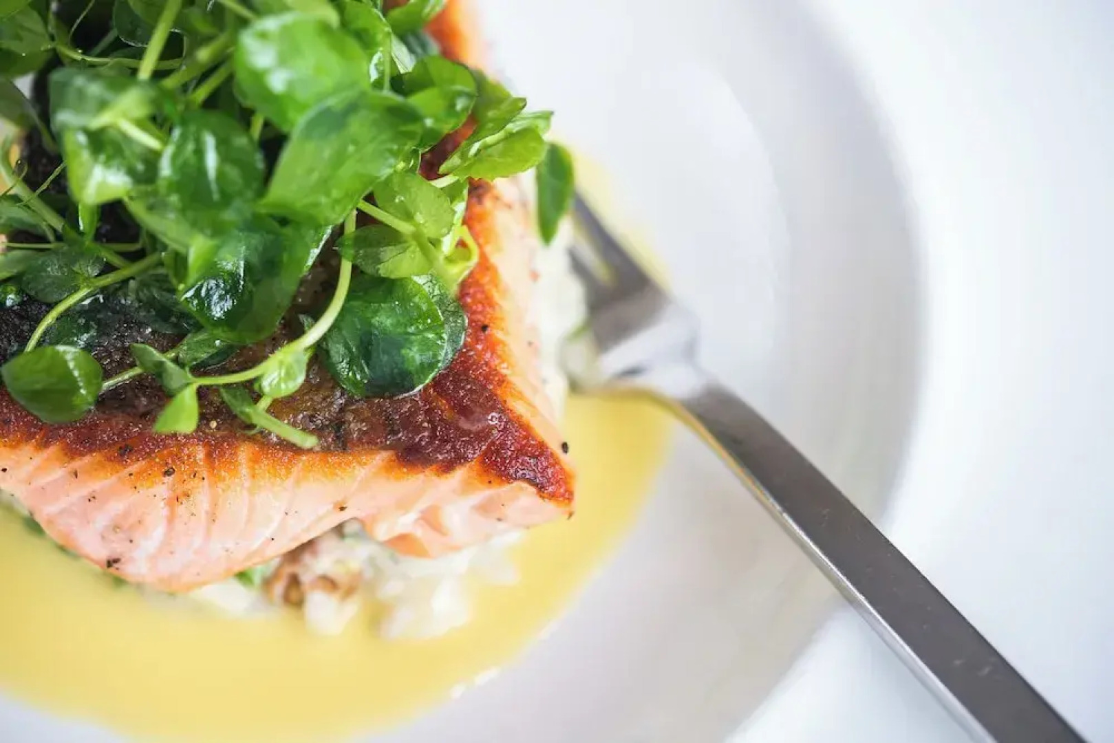 Appellation Healdsburg