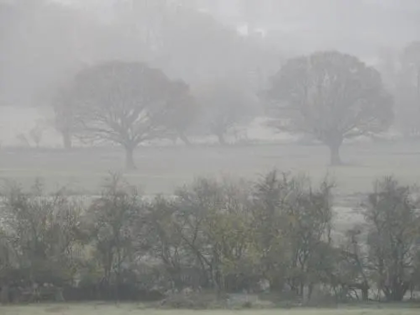 The Farm Snead Bed & Breakfast