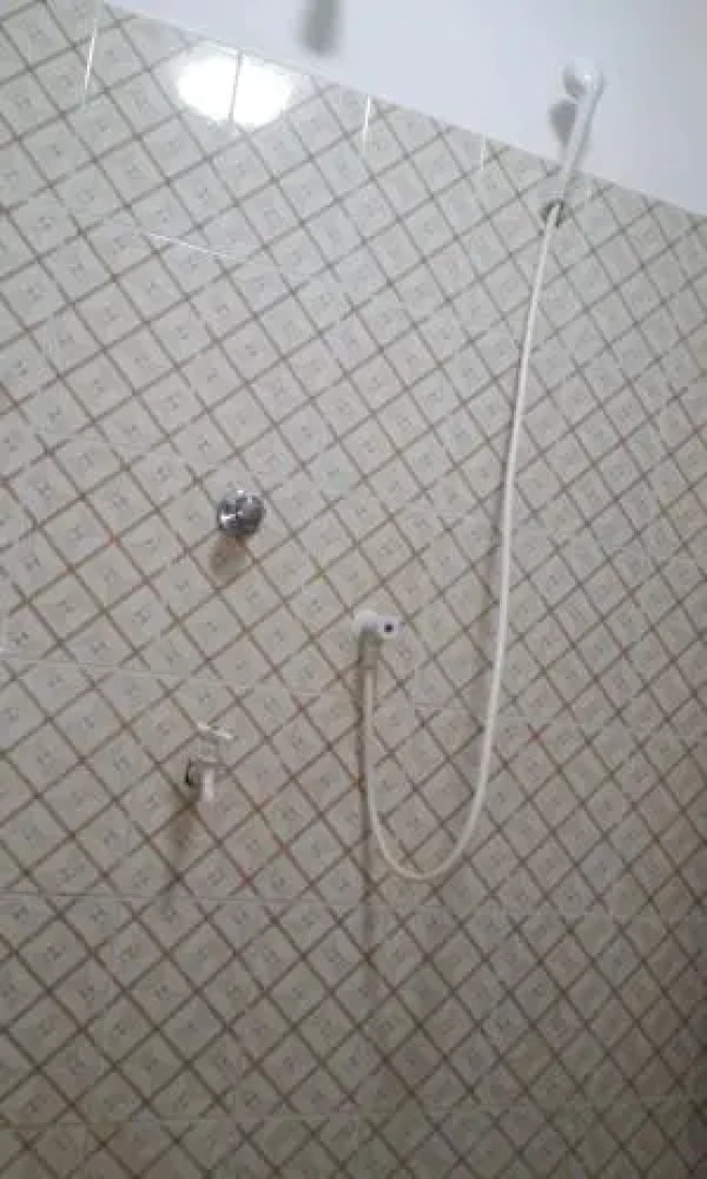 Elephant Reach Udawalawa