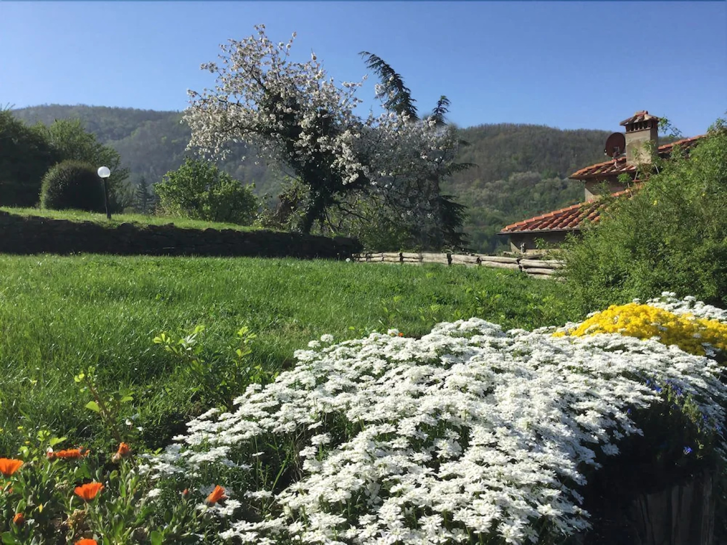 La Noce di Francesca