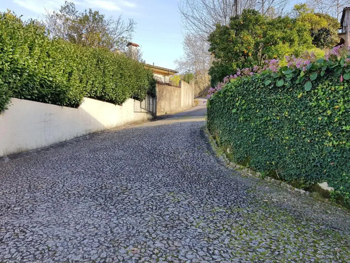 Vivenda do Paúl