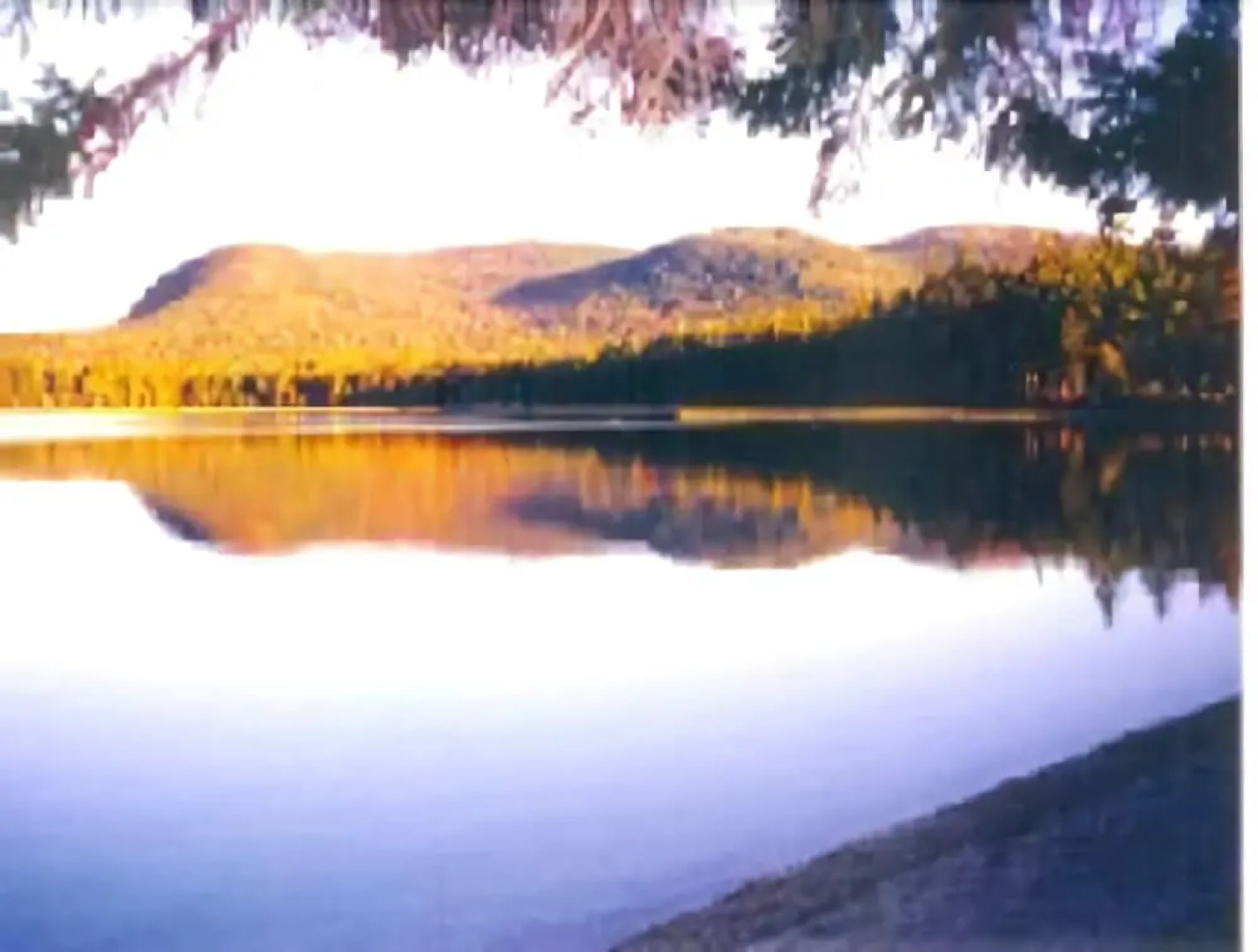 Aspen Cabin Tunk Lake - Three Bedroom Home