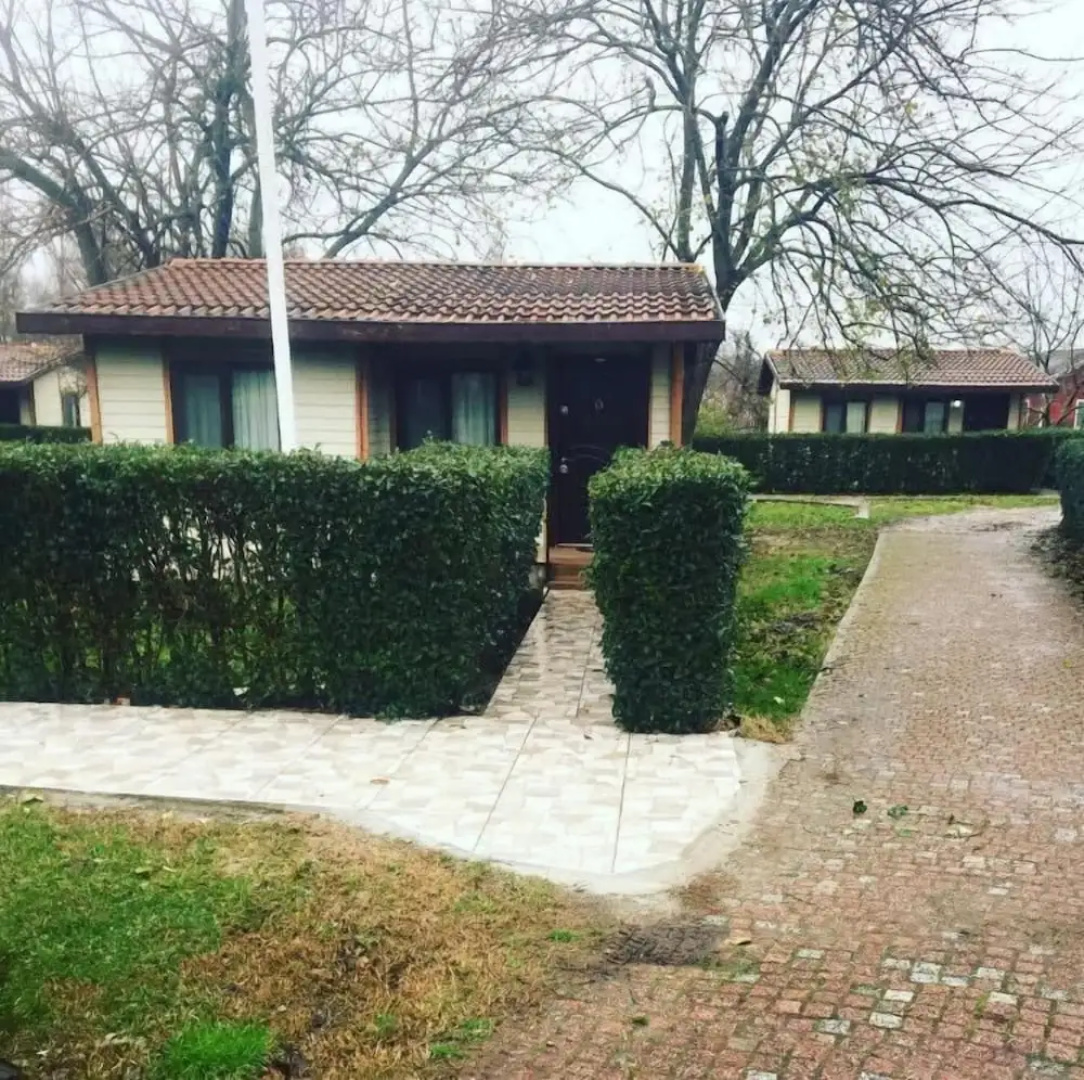 Green Garden