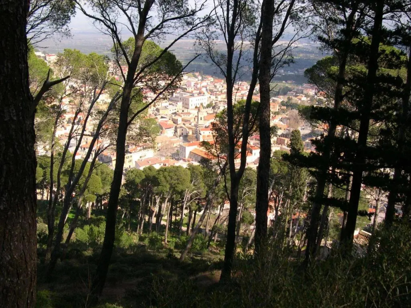 B&B Antoclo Di Concas Angela Margherita