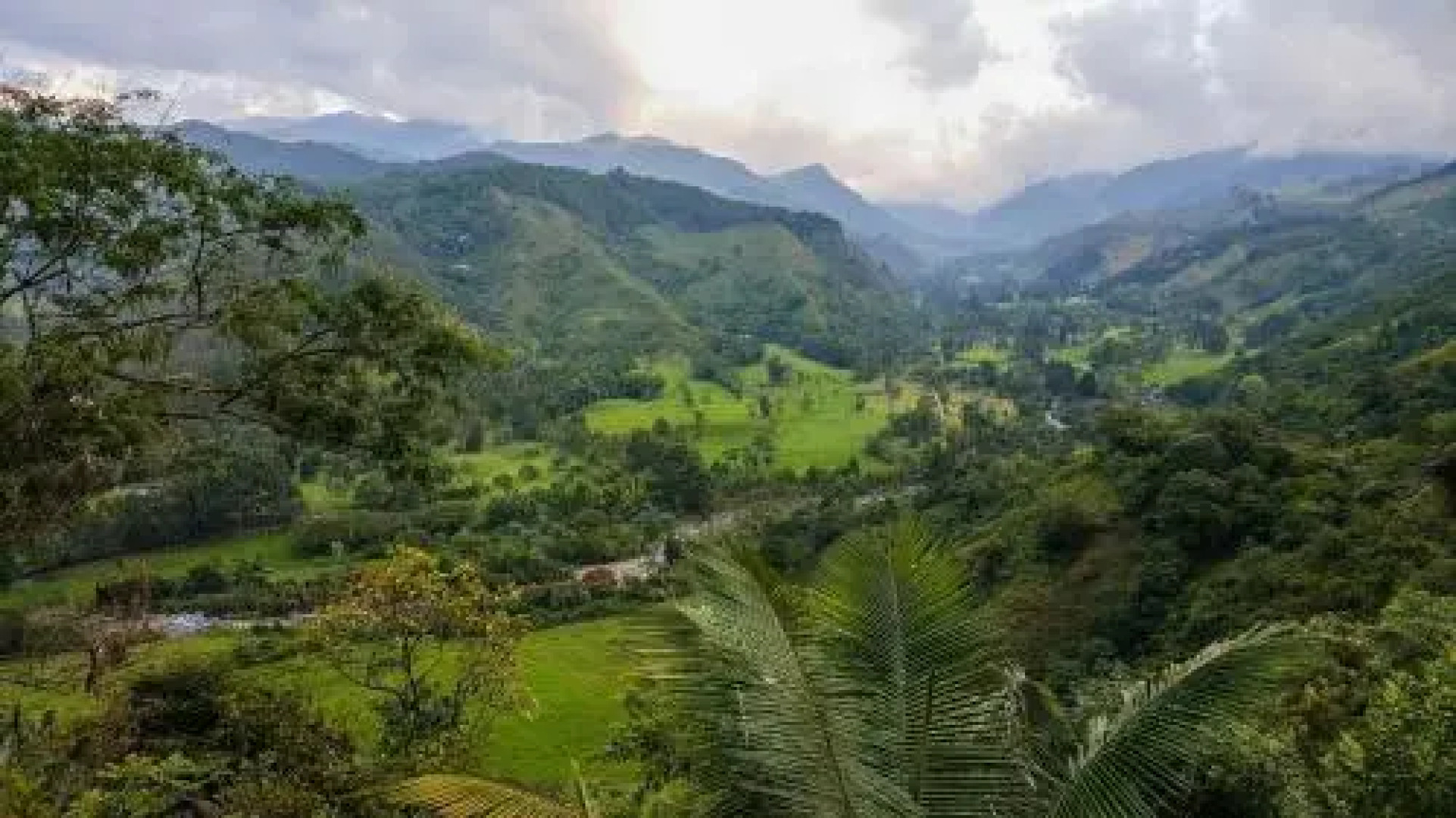 Salento Finca Hotel Mundo Nuevo