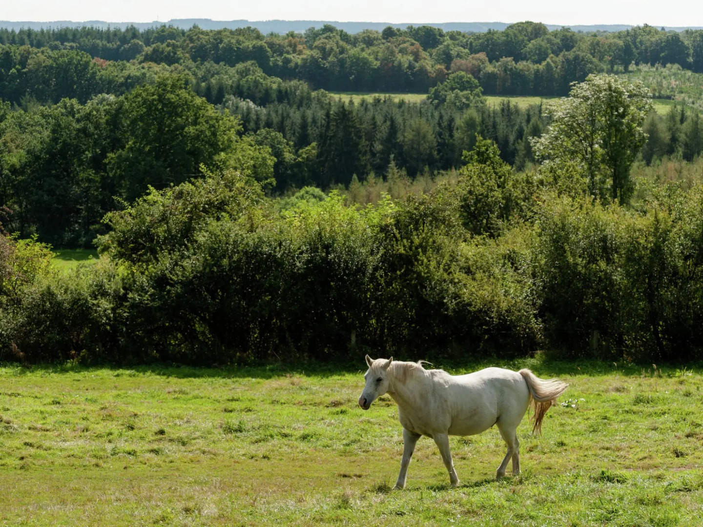 Pastoral villa in Heure with bubble bath, sauna, terrace and large garden