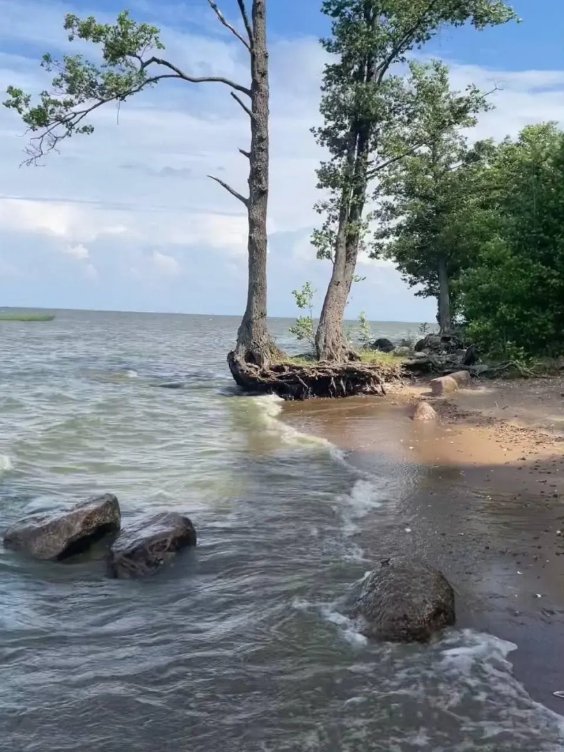 Таунхаус в Петергофе