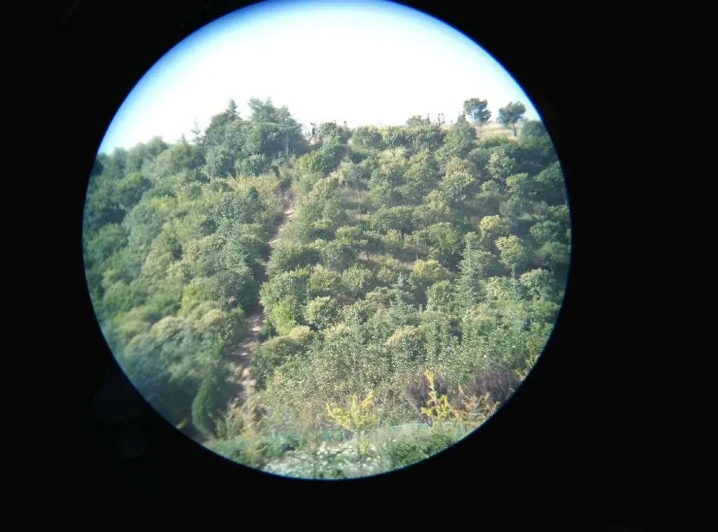 Wangchangan ApartHotel