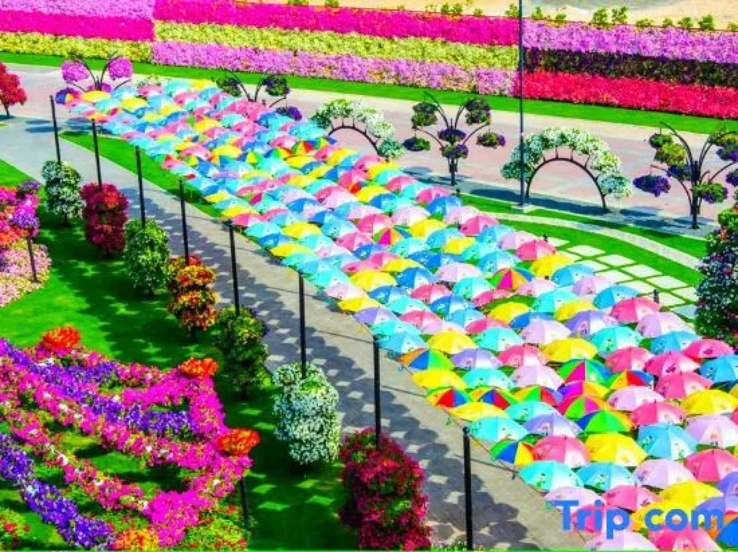 Color Village Resort Hotel