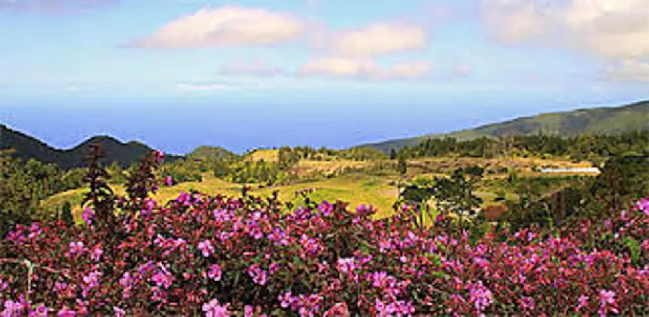 Chalet with 2 Bedrooms in Les Makes, with Wonderful Mountain View, Enclosed Garden And Wifi - 20 Km From the Beach