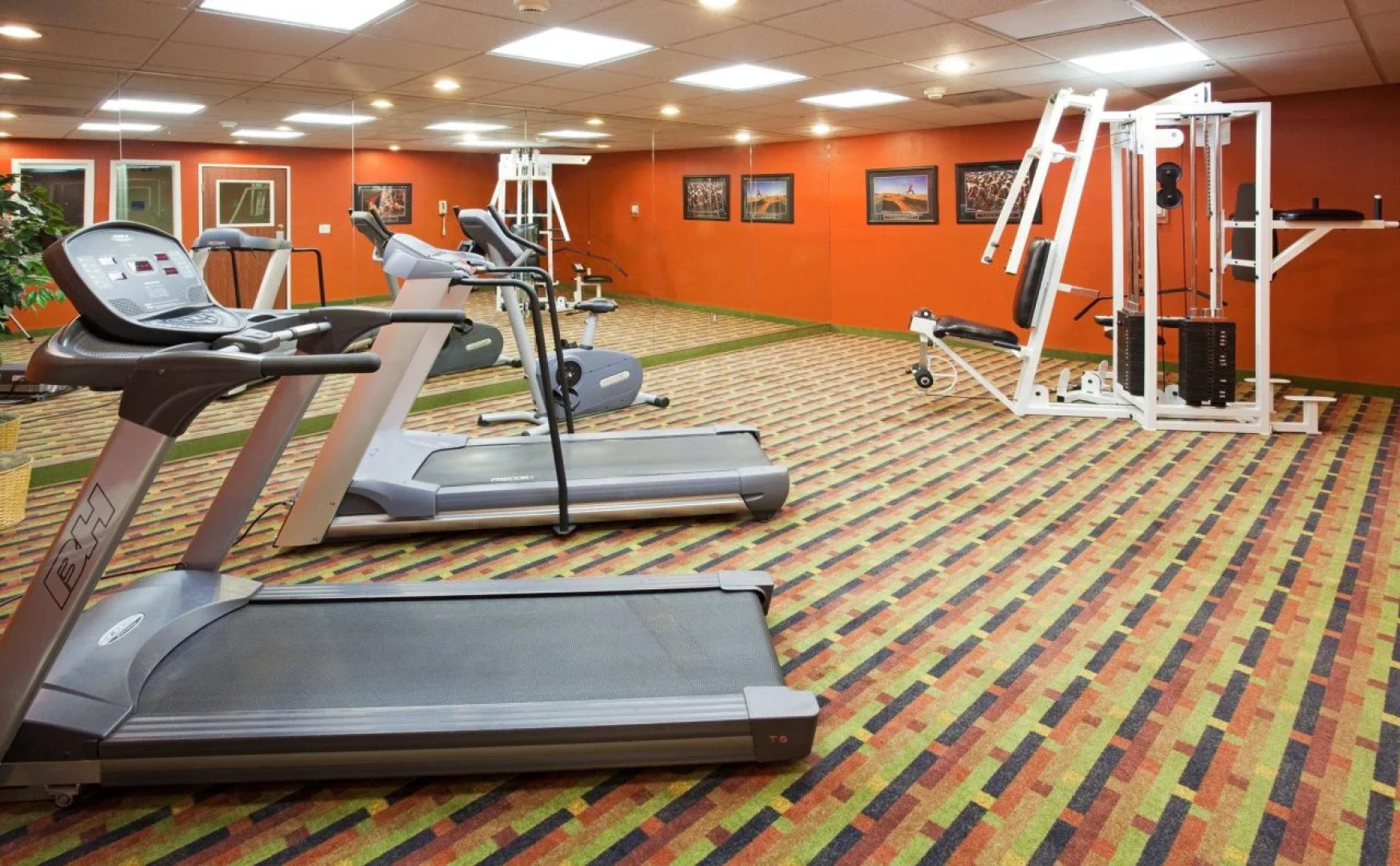 Holiday Inn Express & Suites Colorado Springs North by IHG