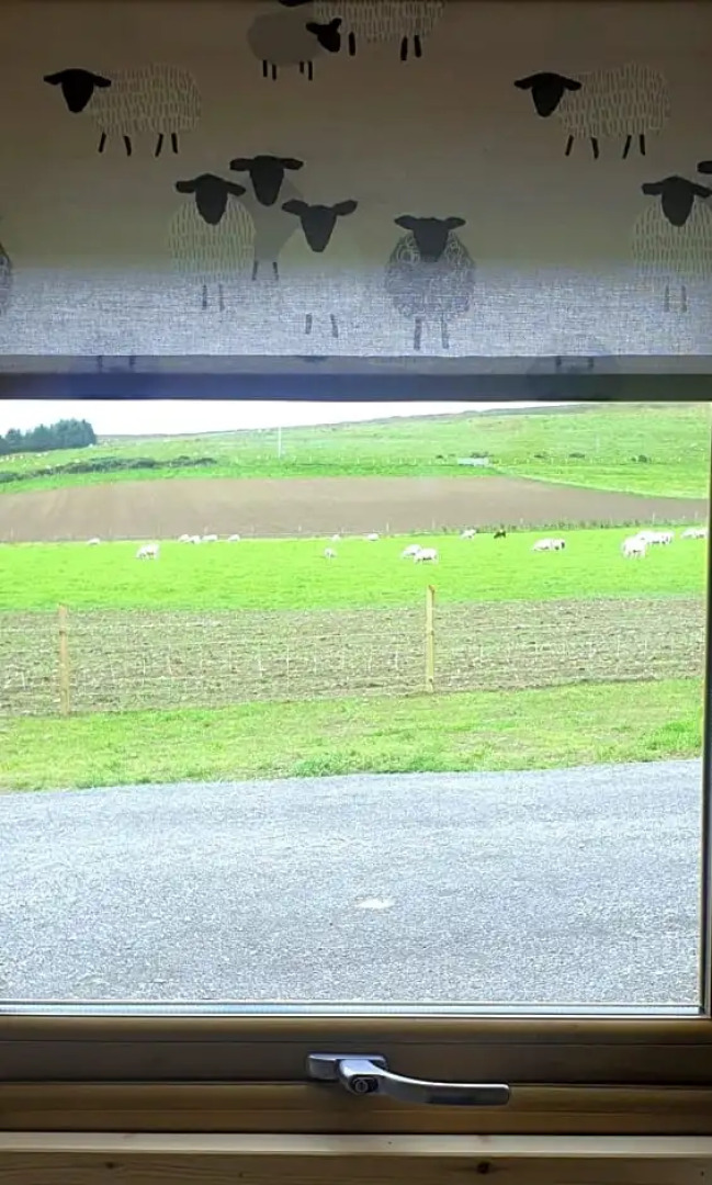 Lilly's Lodges Orkney Hedgehog Lodge
