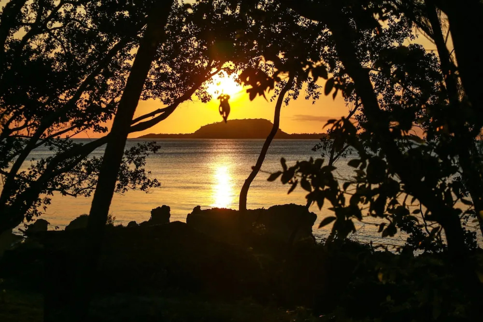 Divi's Boutique Retreat