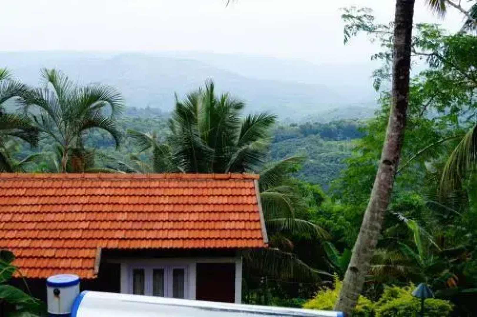 Contour Jungle Resort