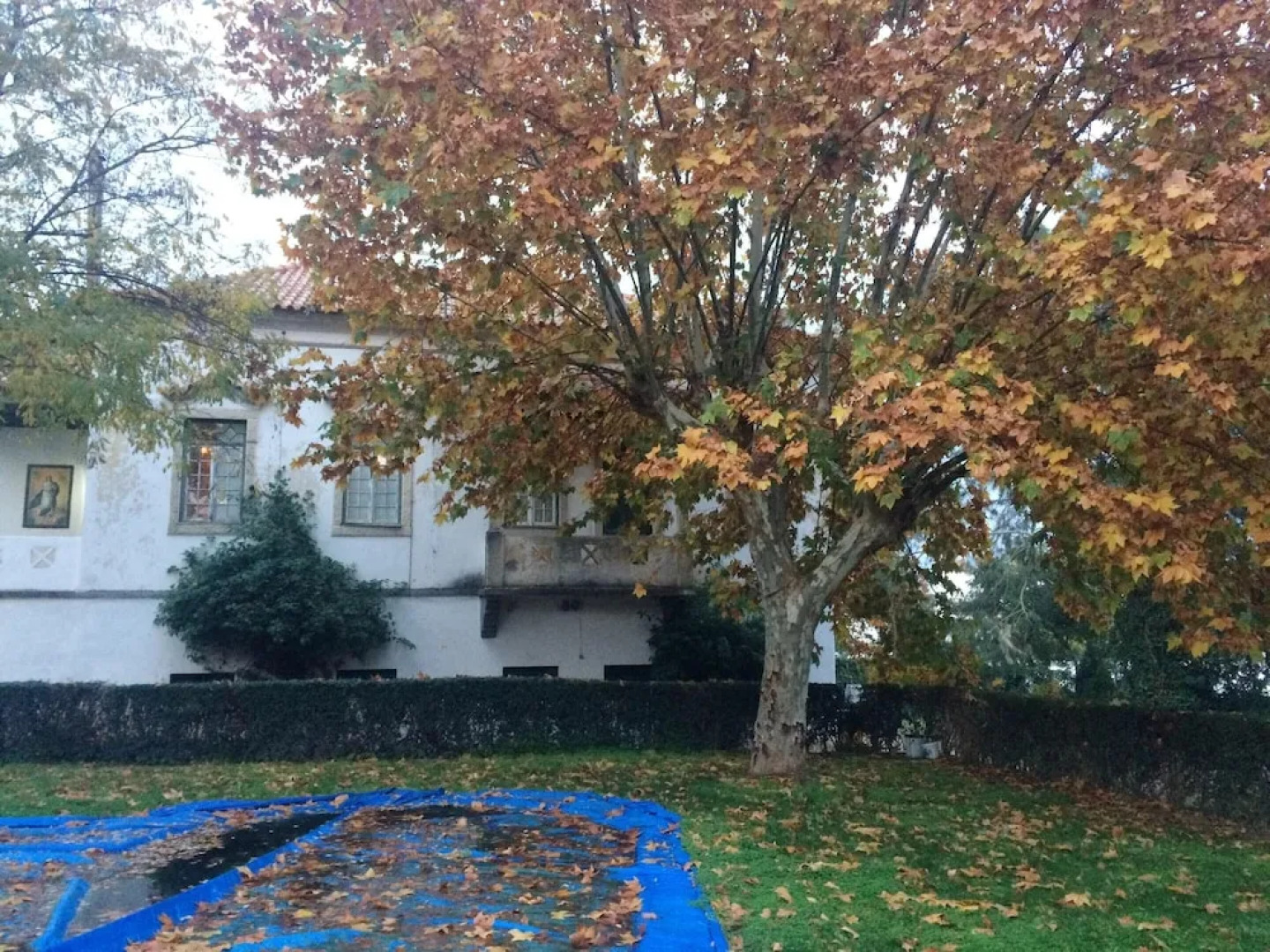 House With 5 Bedrooms in Vila Verde de Ficalho, With Wonderful Mountai