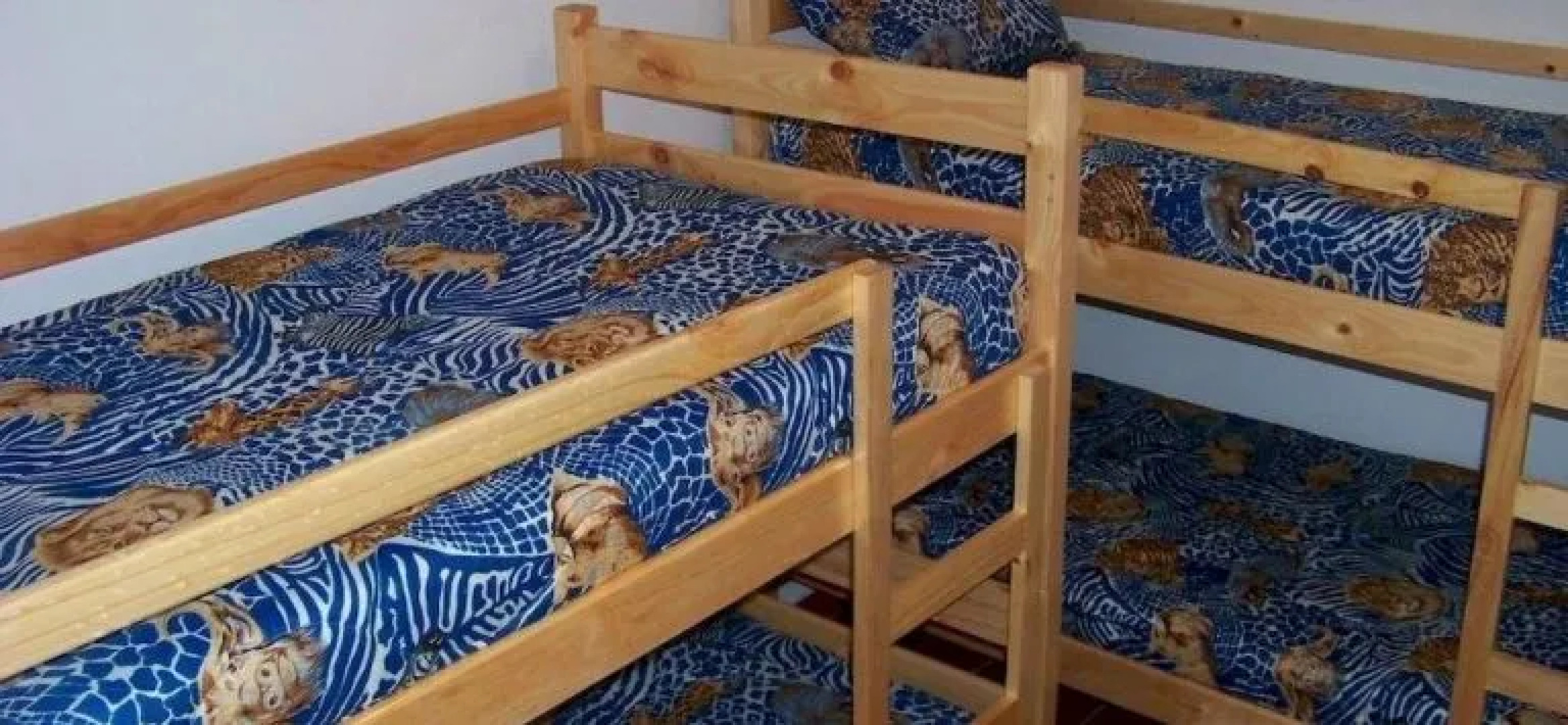 Dolphin House Backpackers and Self Catering