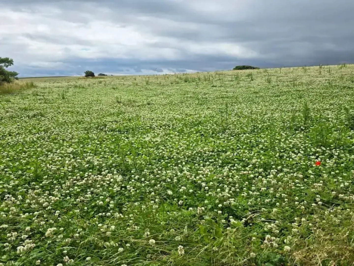 6 Person Holiday Home in Gorlev