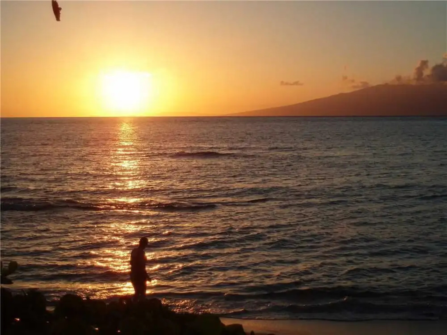 Kaanapali Shores 825 by RedAwning