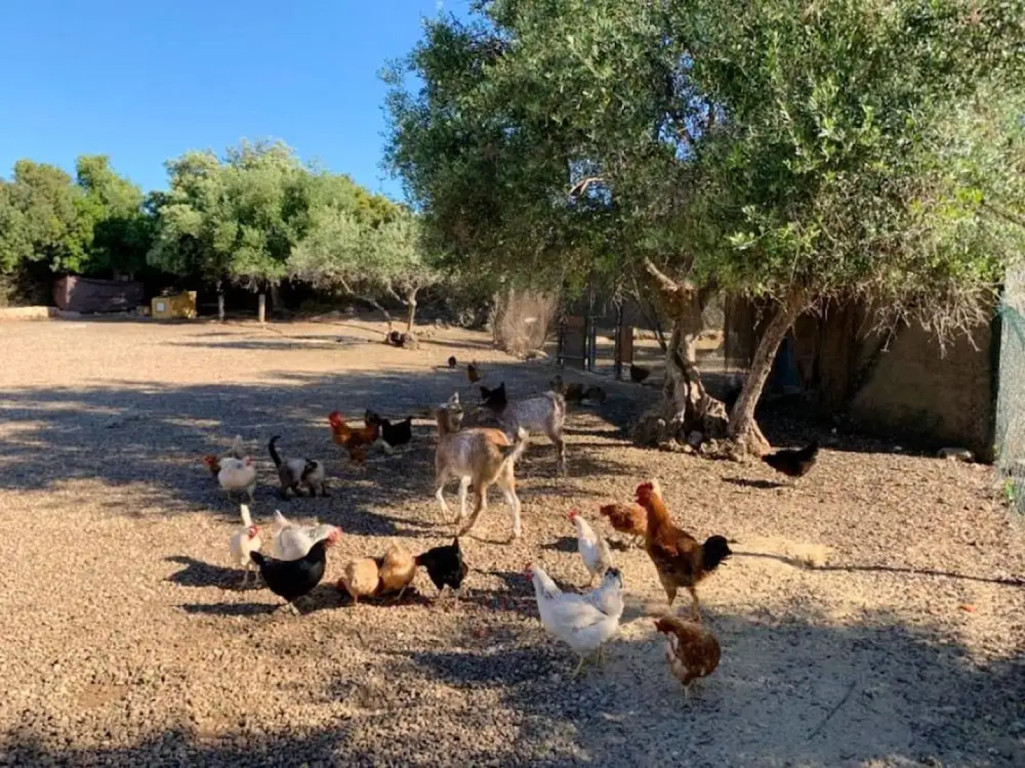 House With 3 Bedrooms in Hornachuelos, With Wonderful Mountain View, P