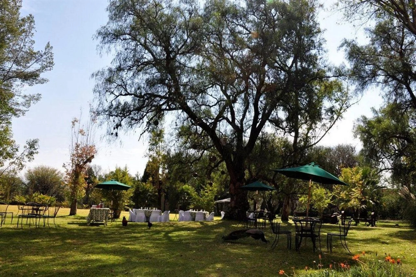 Hacienda Sepulveda Hotel & SPA