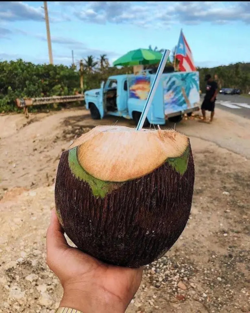 Jobos Beach Apartment A-3